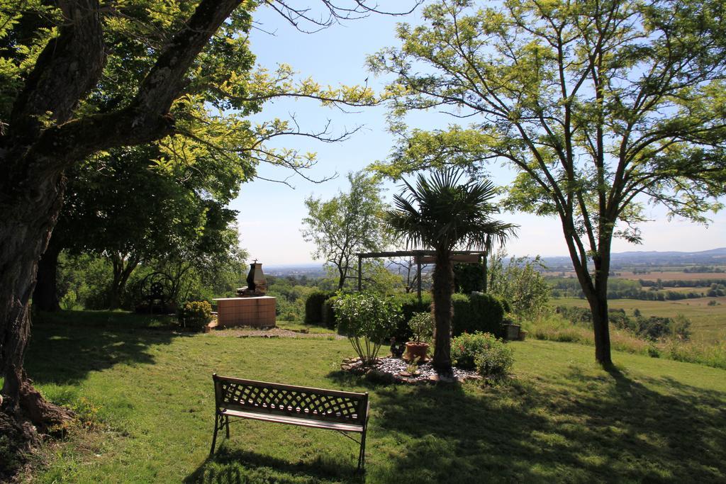 La Pigario Bed & Breakfast Lisle-sur-Tarn Ngoại thất bức ảnh